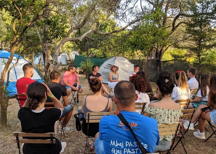 The Sea Turtle Camp