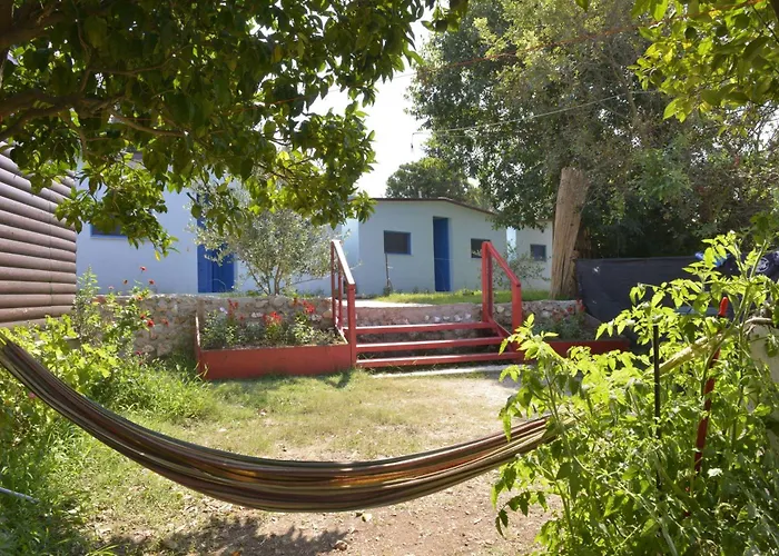The Sea Turtle Camp