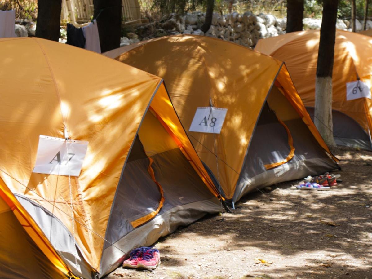 The Sea Turtle Camp Dhermi