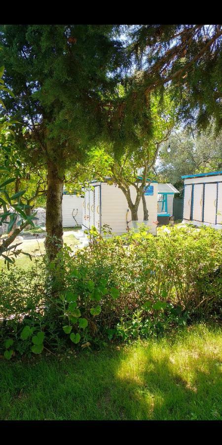 The Sea Turtle Camp Campsite
