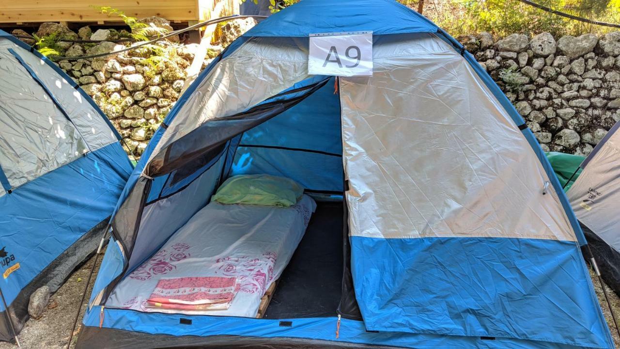 The Sea Turtle Camp Campsite *