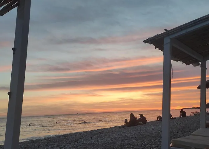 The Sea Turtle Camp